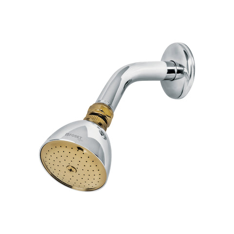 Regadera cónica 2-1/2',metálica, brazo y chapetón, cromo-oro | R-509G | 49147