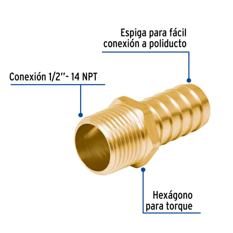 Adaptador macho de latón 1/2' para poliducto, FOSET | ADPO-1/2M | 49305