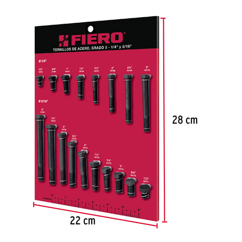 Exhibidor FIERO de tornillos #1, grado 5 | EXF-TORA-1 | 55698