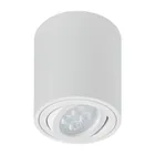 Luminario de sobreponer con spot dirigible, redondo, blanco 1