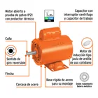 Motor eléctrico monofásico de 1/4 HP, alta velocidad, TRUPER 4
