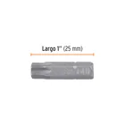 Estuche con 5 puntas torx T40 con seguro largo 1', EXPERT 3