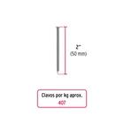 Kilo de clavo estándar 2' con cabeza en caja de 10 kg, FIERO 2
