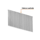 Caja con 2500 clavos calibre 16, 40 mm para CLNE-16, TRUPER 2