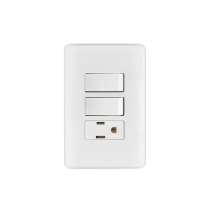 Placa armada con contacto y 2 interruptores sencillos, BASIC