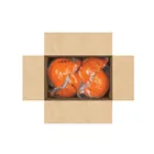 Casco de seguridad ventilado, ajuste de matraca, naranja 3
