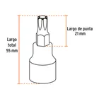 Juego de 7 dados cuadro 1/2' punta torx, TRUPER 3