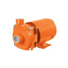 Bomba centrífuga para agua, 3/4 HP, TRUPER EXPERT 1
