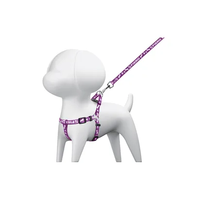Correa con pechera para perro, 1 cm ancho, FIERO