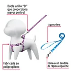 Correa con pechera para perro, 1 cm ancho, FIERO 5