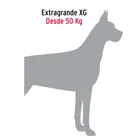 Cadena de 1.8 m de amarre para perro, 2.9 mm, FIERO 5
