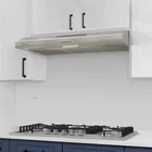 Campana extractora 50cm, empotrable, acero inoxidable, FOSET 6
