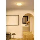 Luminario LED plafón decorativo 8W 3000K, espiral, BASIC 4