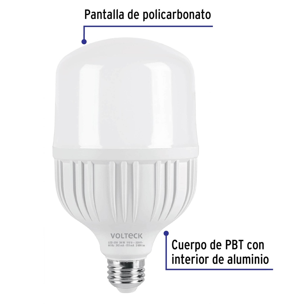 LED-250+FC1.jpg