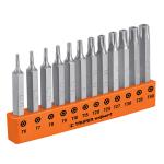 P12-2TS | Juego de 12 puntas torx combinadas c/seguro largo 2', Expert