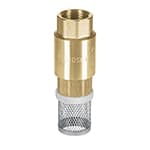 PICHA-1X | Pichancha con rejilla acero inoxidable 1', Foset