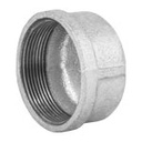 CG-306 | Tapón hembra 2' de acero galvanizado, Foset