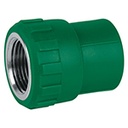 CV-601 | Adaptador PPR 1/2' hembra con inserto metálico, Foset