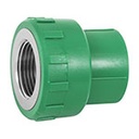 CV-603 | Adaptador PPR 1' hembra con inserto metálico, Foset