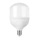 LED-750 | Lámpara LED alta potencia 70 W (equiv. 750 W), luz de día